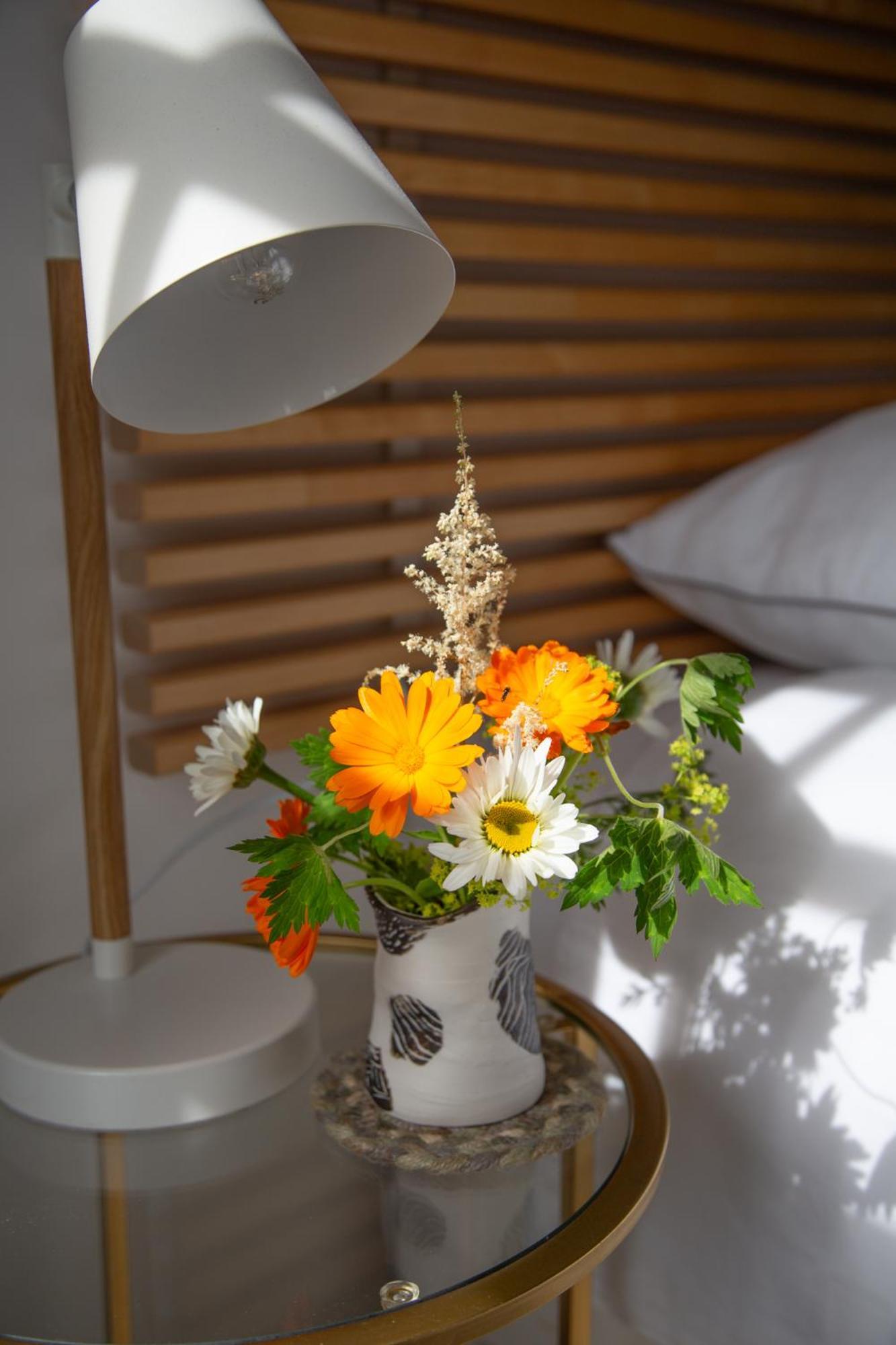 Balmungo Cottage B&B St Andrews Ngoại thất bức ảnh